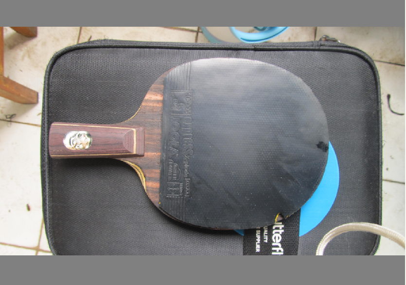 ���ѳ�һ�����Ƶİ��� ������F1������