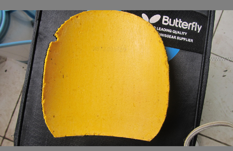 ���ѳ�һ�����Ƶİ��� ������F1������