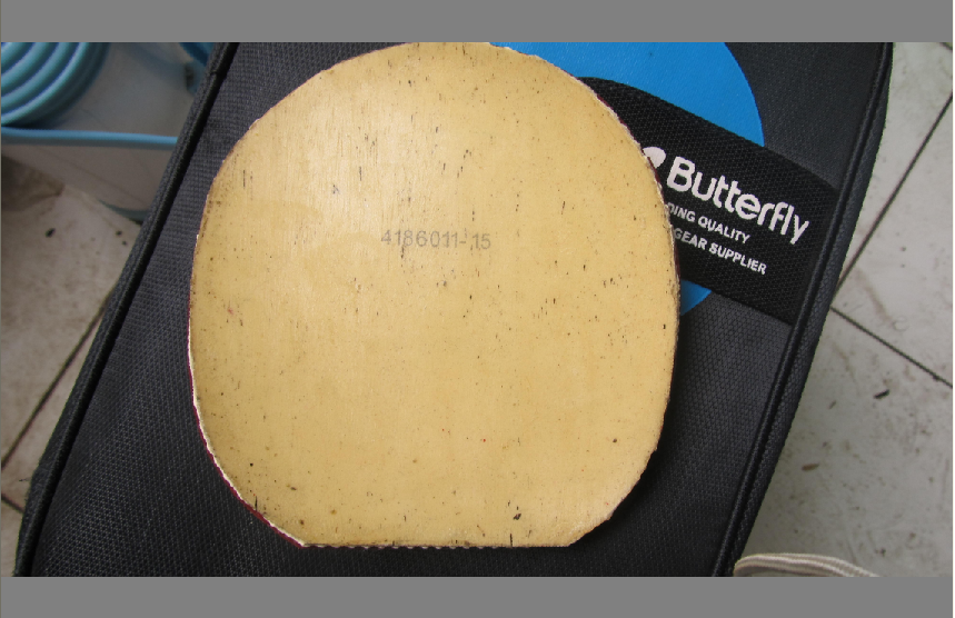 ���ѳ�һ�����Ƶİ��� ������F1������