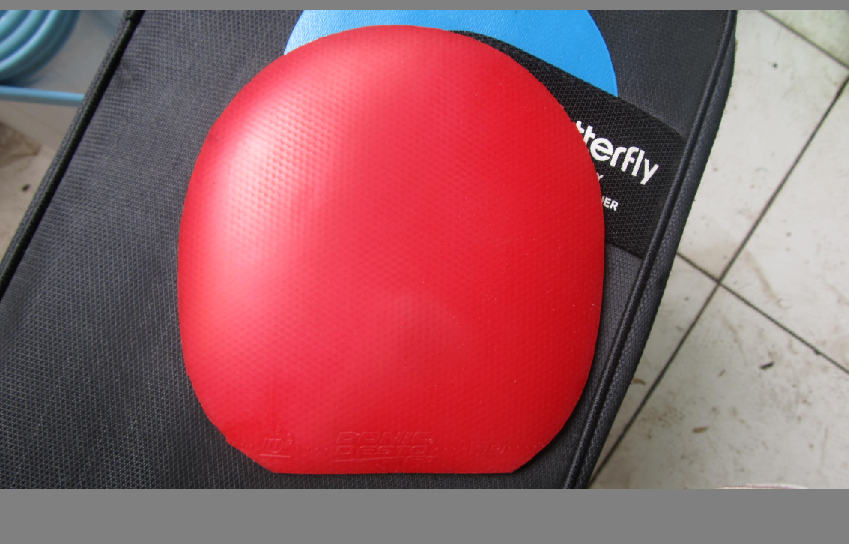 ���ѳ�һ�����Ƶİ��� ������F1������