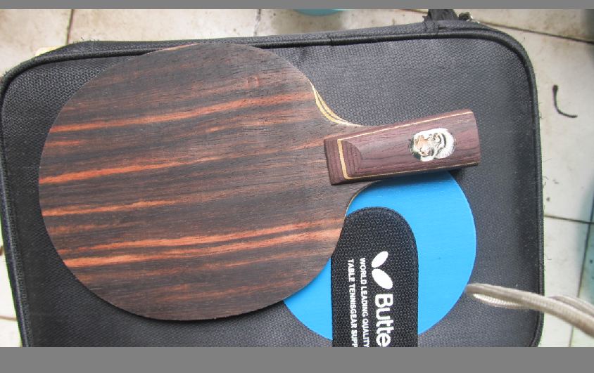 ���ѳ�һ�����Ƶİ��� ������F1������