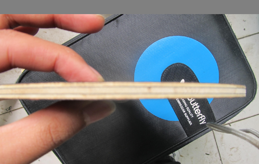 ���ѳ�һ�����Ƶİ��� ������F1������