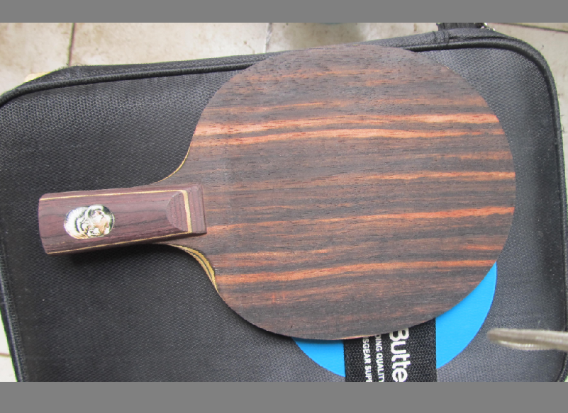 ���ѳ�һ�����Ƶİ��� ������F1������