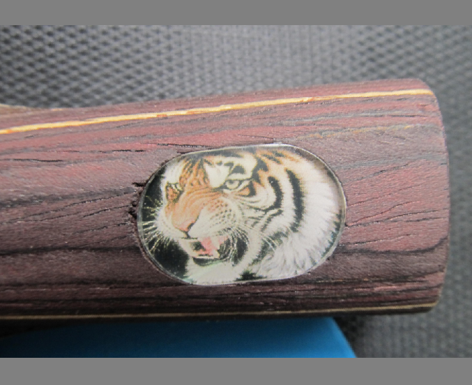 ���ѳ�һ�����Ƶİ��� ������F1������