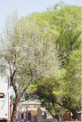 Ӣ׿Խվһڻ--Ӵ