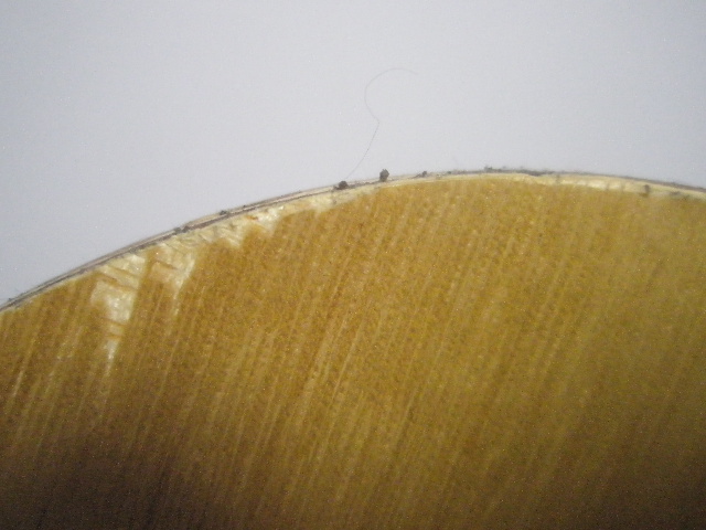 380Ԫ��nittaku����FL