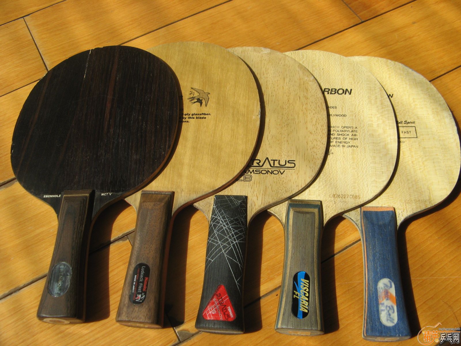 ������ ��̴�� vis  ��̼ amu