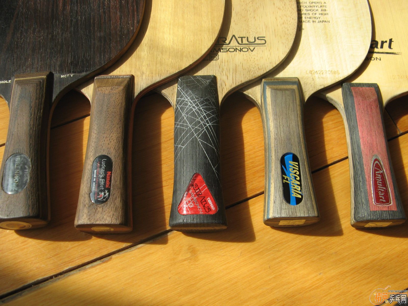 ������ ��̴�� vis  ��̼ amu