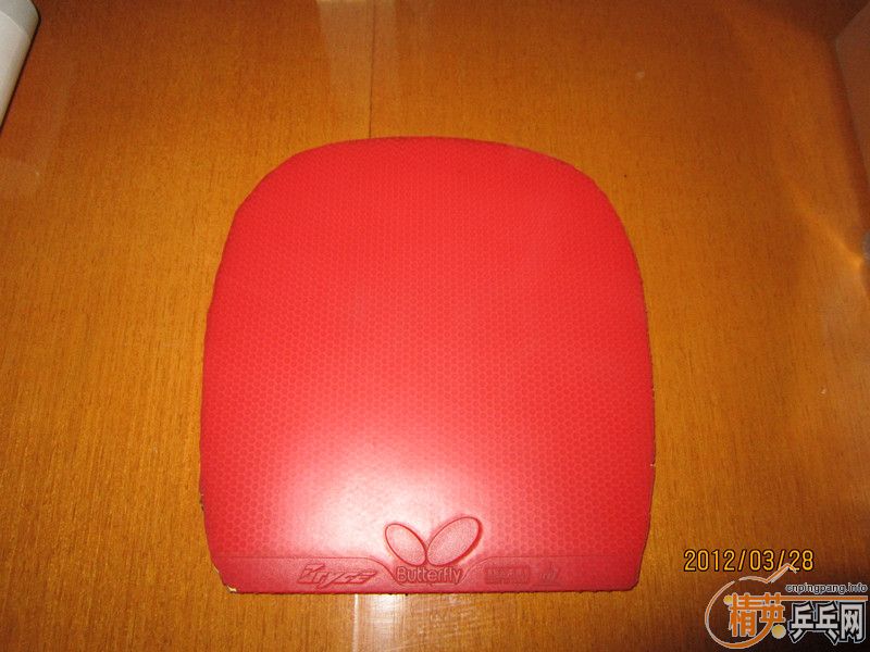 ����ֱ��ɫŷ��٤4������׽�