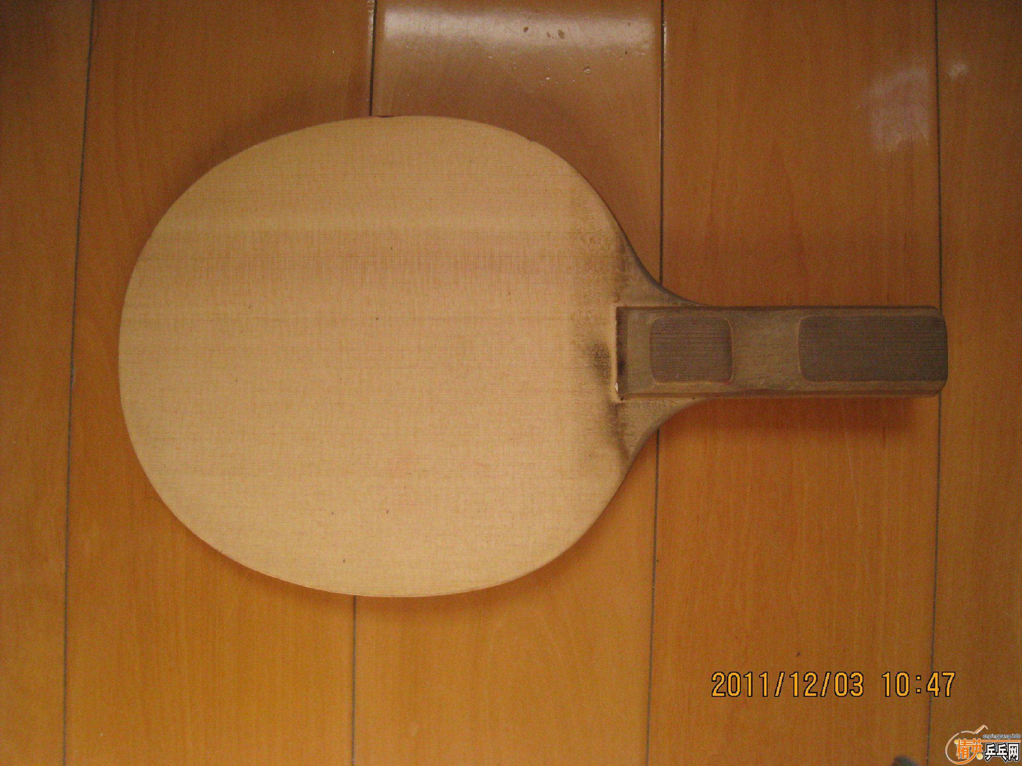 DMkkE019.jpg