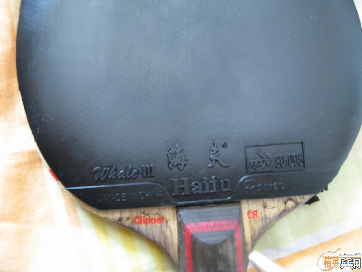 ������εĺ�������������רҵ�ع��׽�����Ƥ