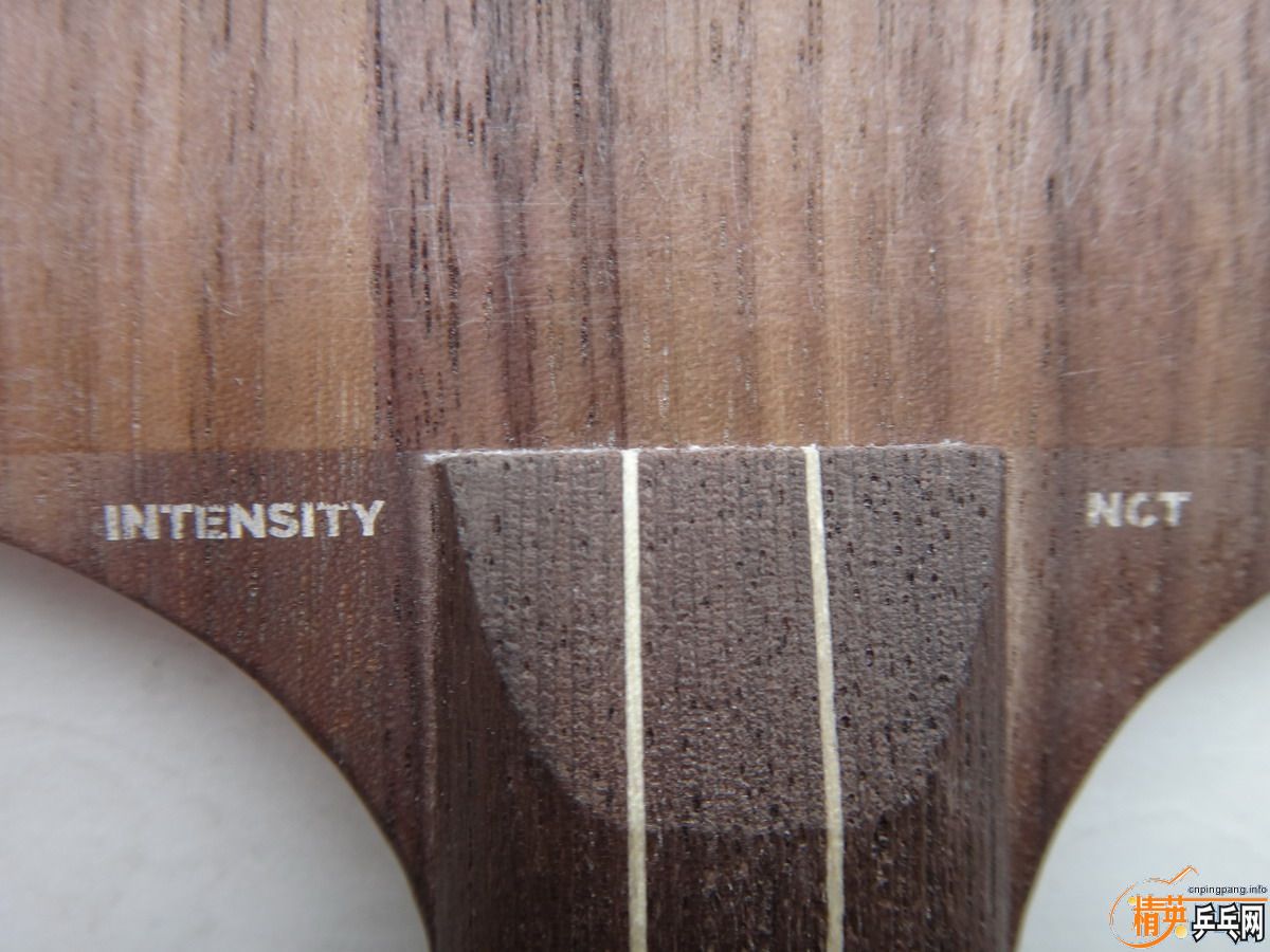 ���׽��ǿ̼�أ�ŷ�棩550����ǿ��ľ���л���550����������