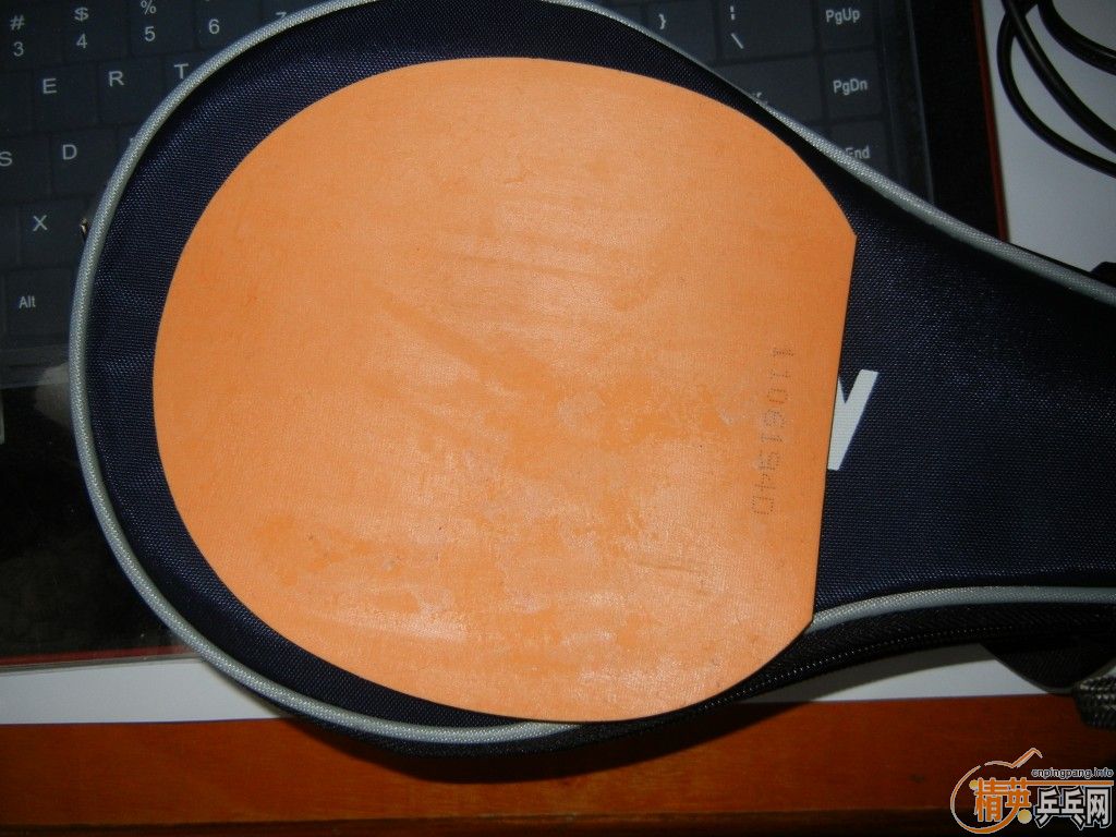 ������Ʒõ��5