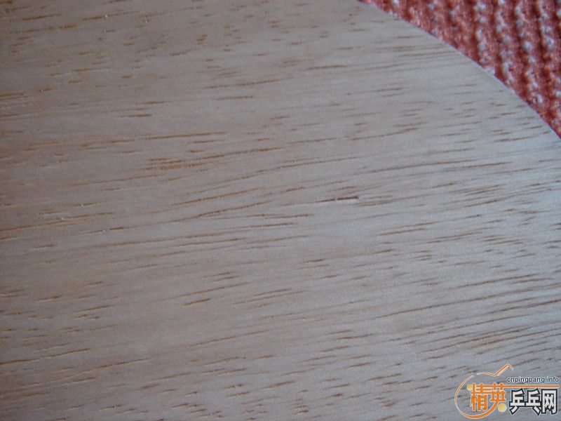 �� ���CL ��39������3���������~~~~~~~~~~~