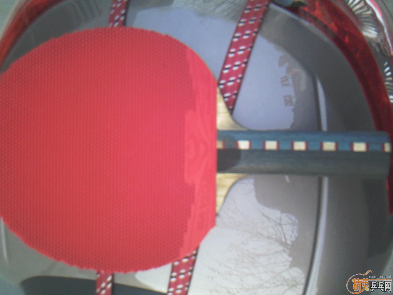 ��ST joola ������ 200���ʴ�����