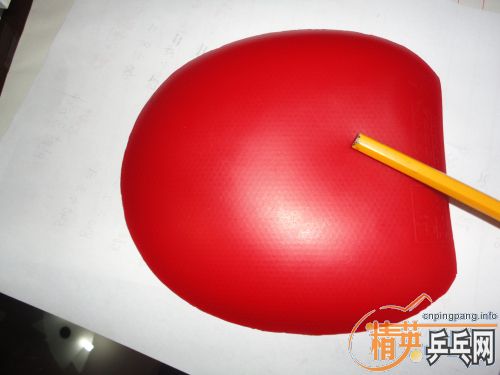 ��ɫ����JO����ɫ�����������ϵ��Ƥ