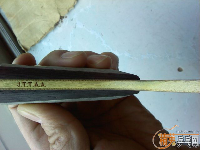 ���ѳ�������YEO