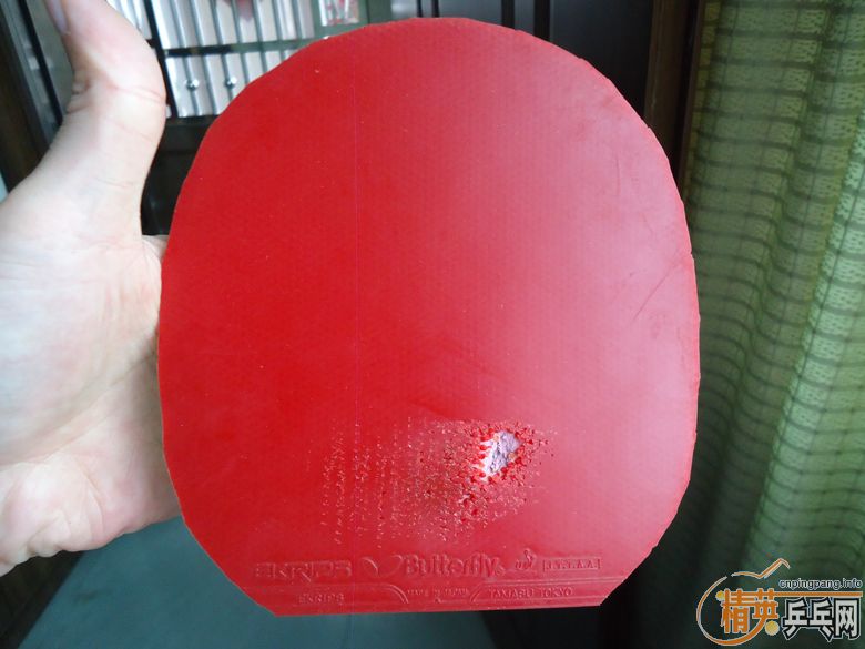 ֧�����������