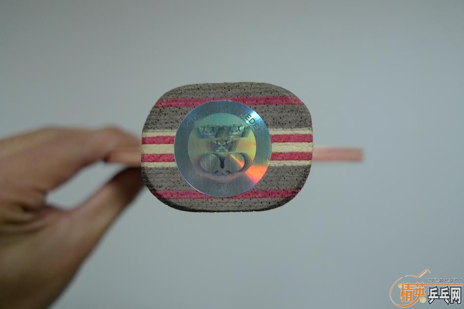 330Ԫ���л�CL