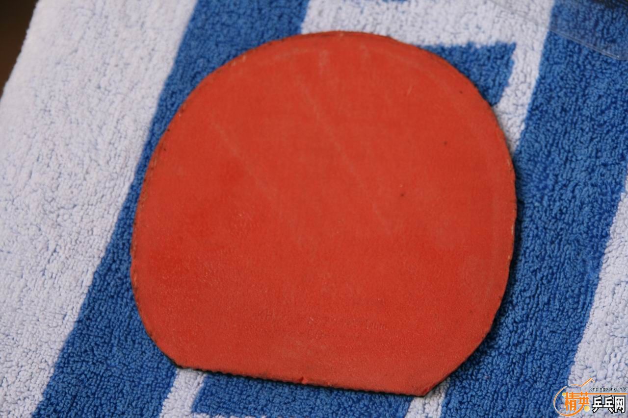 ��רҵ��˹���֣�T05