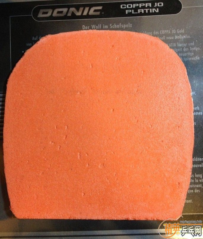 T05 ZETA ��ֱ�׽����158���� ����baochong