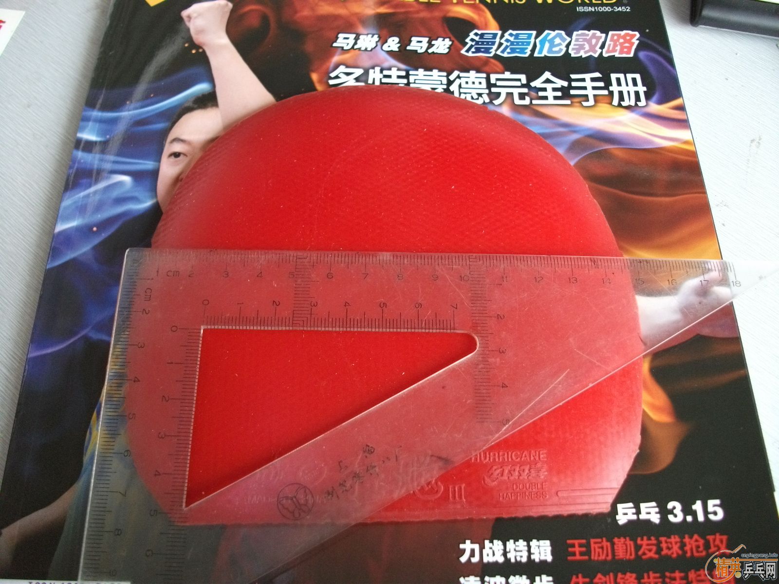 ����ʲô�ס�㣬�����鳬𤽺Ƥ