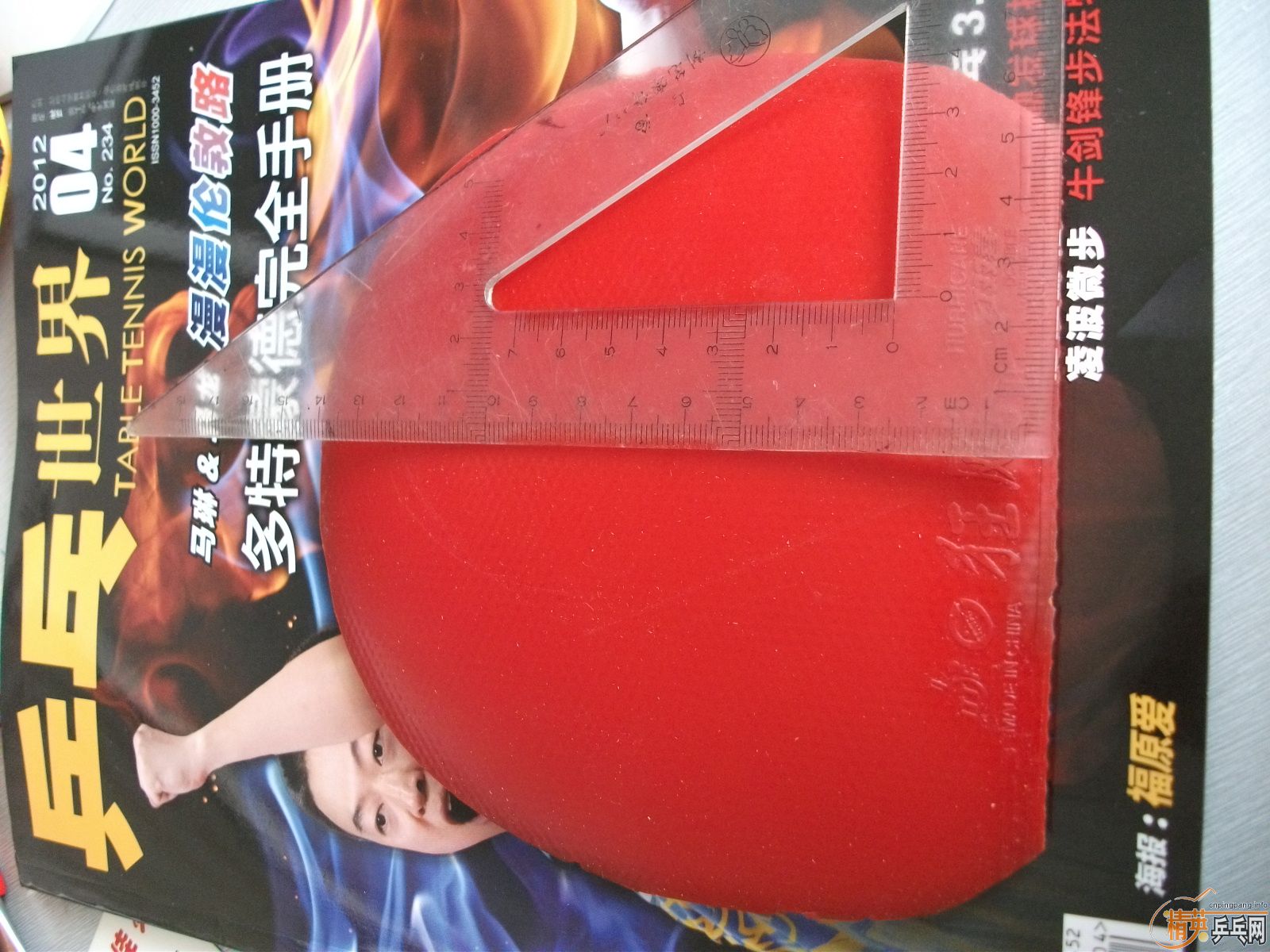 ����ʲô�ס�㣬�����鳬𤽺Ƥ