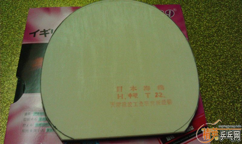 ֧齺Ƥ