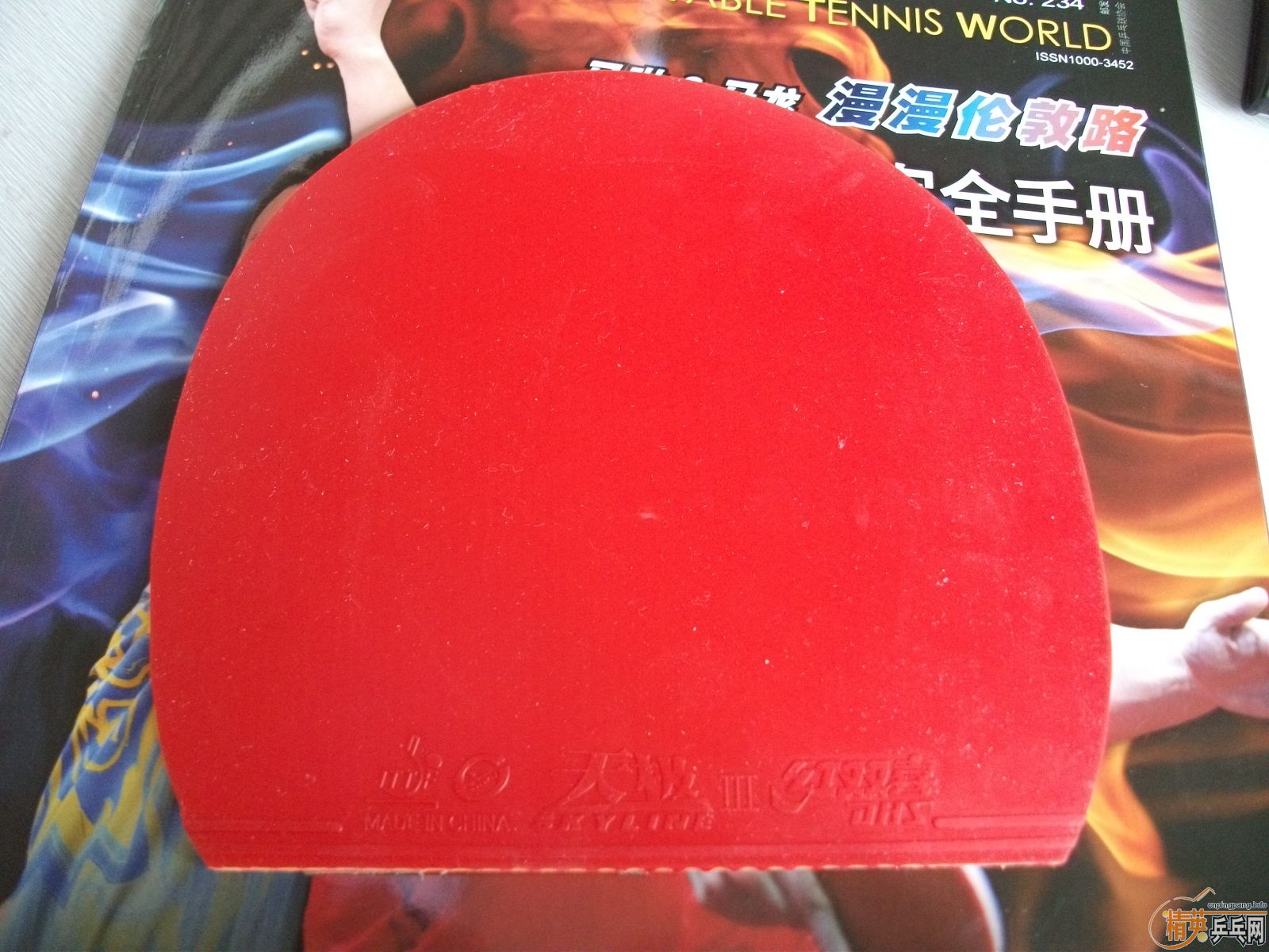 ����ʲô�ס�㣬�����鳬𤽺Ƥ