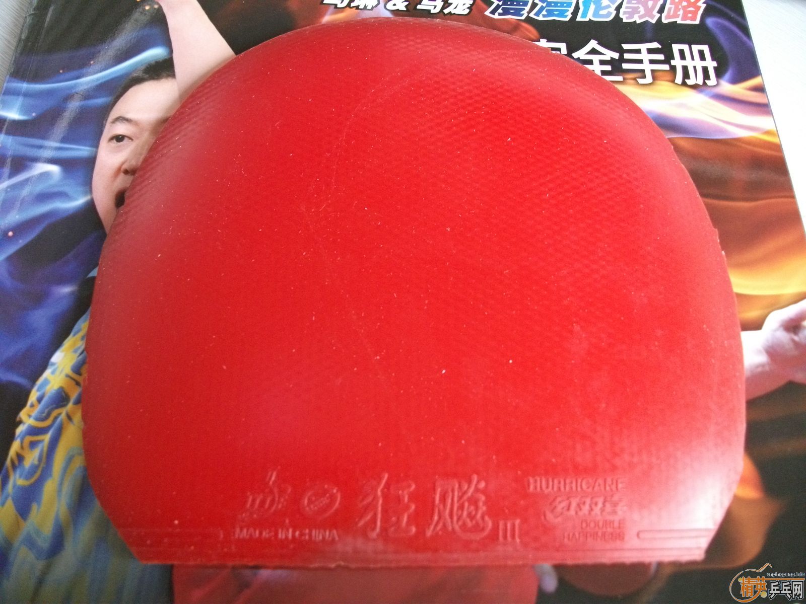 ����ʲô�ס�㣬�����鳬𤽺Ƥ