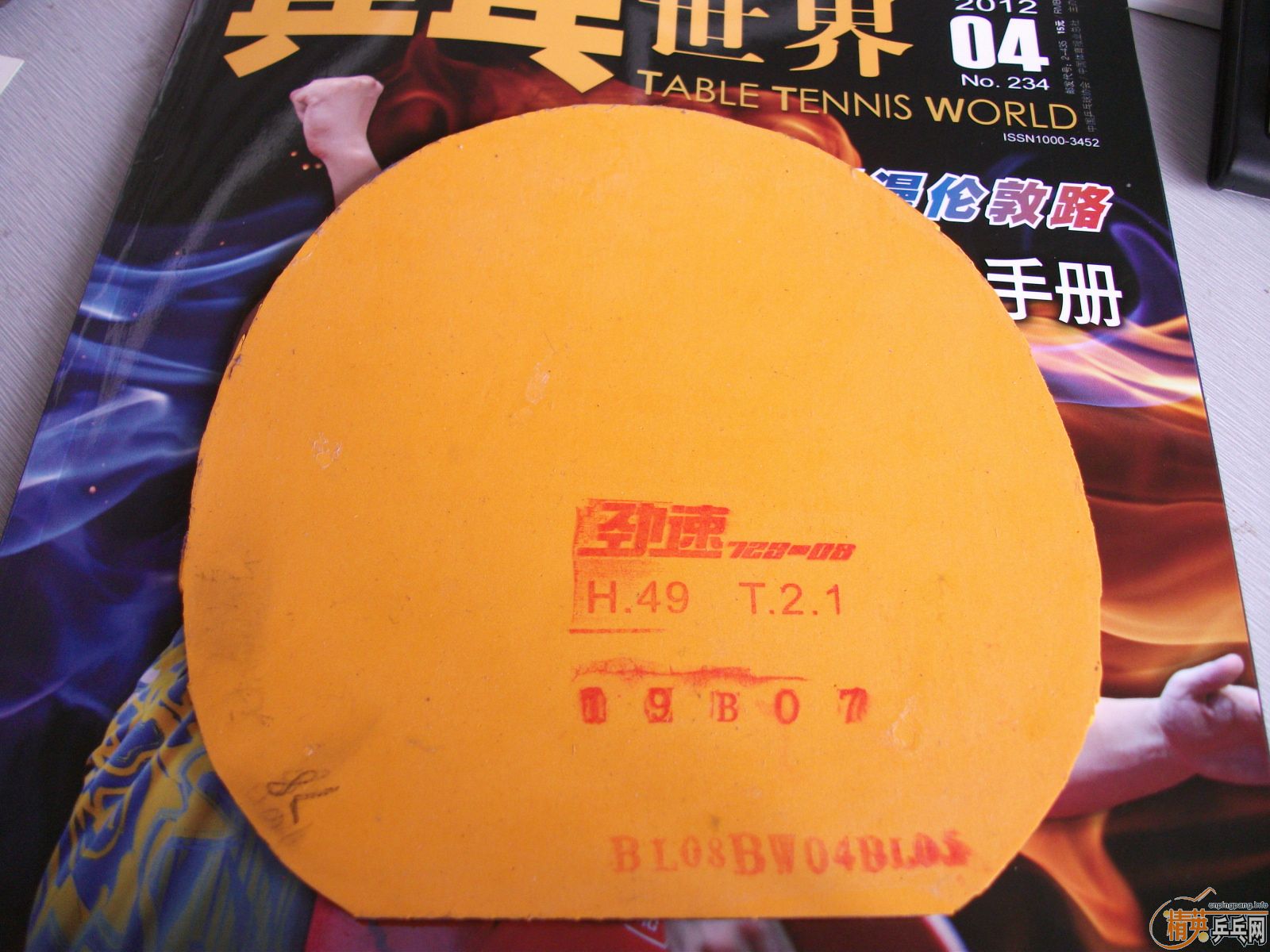 ����ʲô�ס�㣬�����鳬𤽺Ƥ