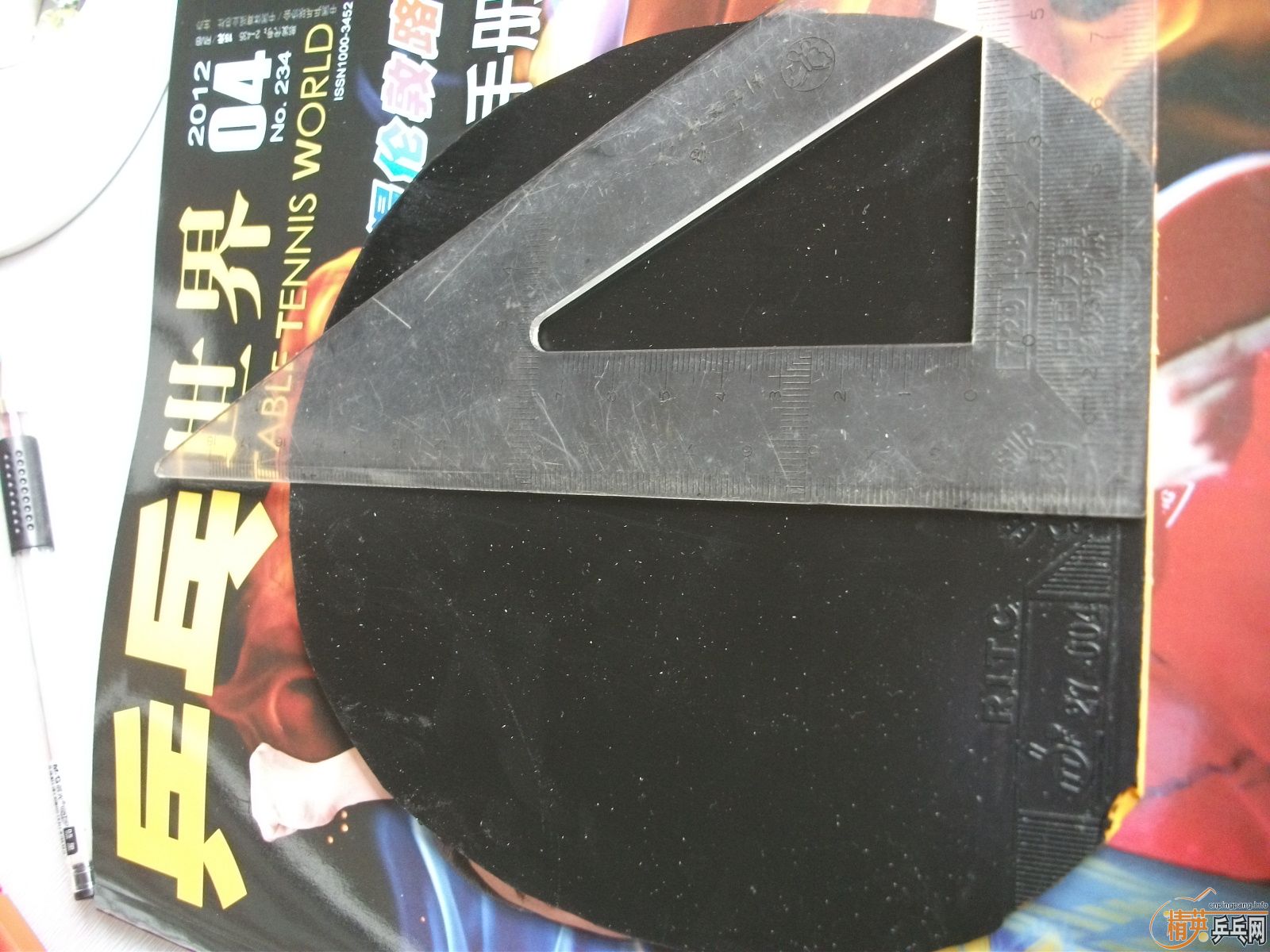 ����ʲô�ס�㣬�����鳬𤽺Ƥ