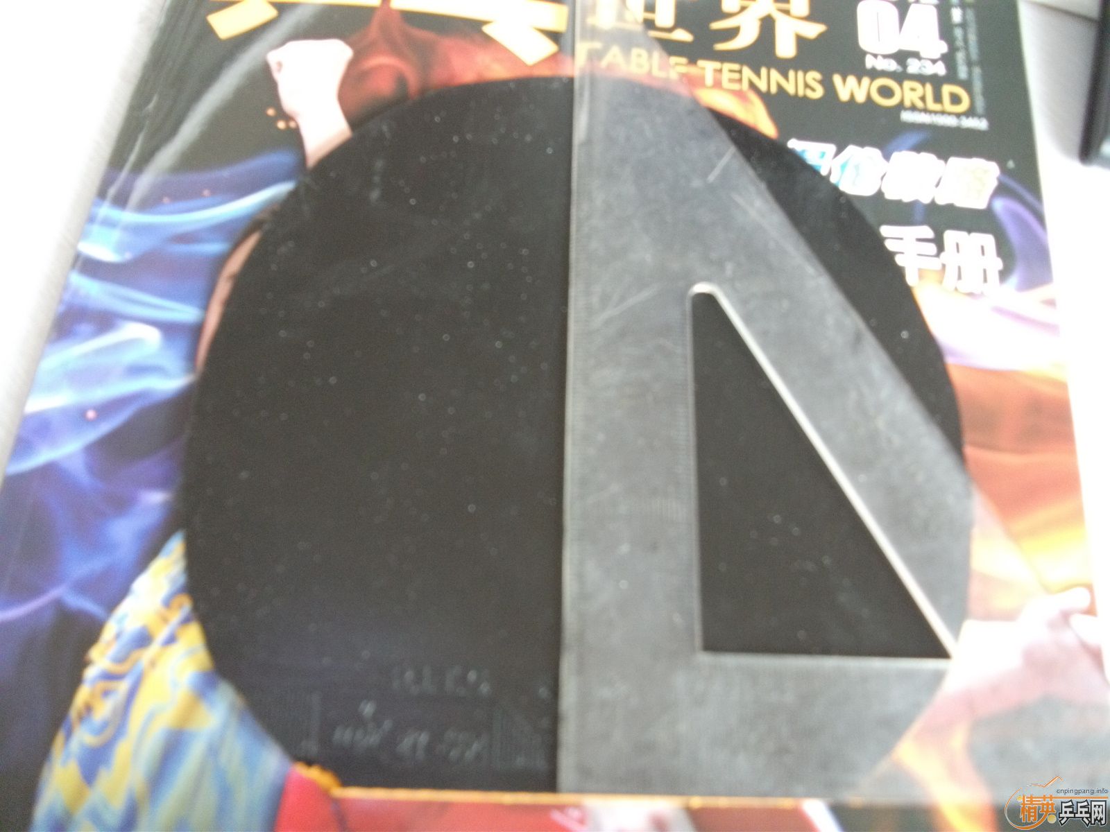 ����ʲô�ס�㣬�����鳬𤽺Ƥ