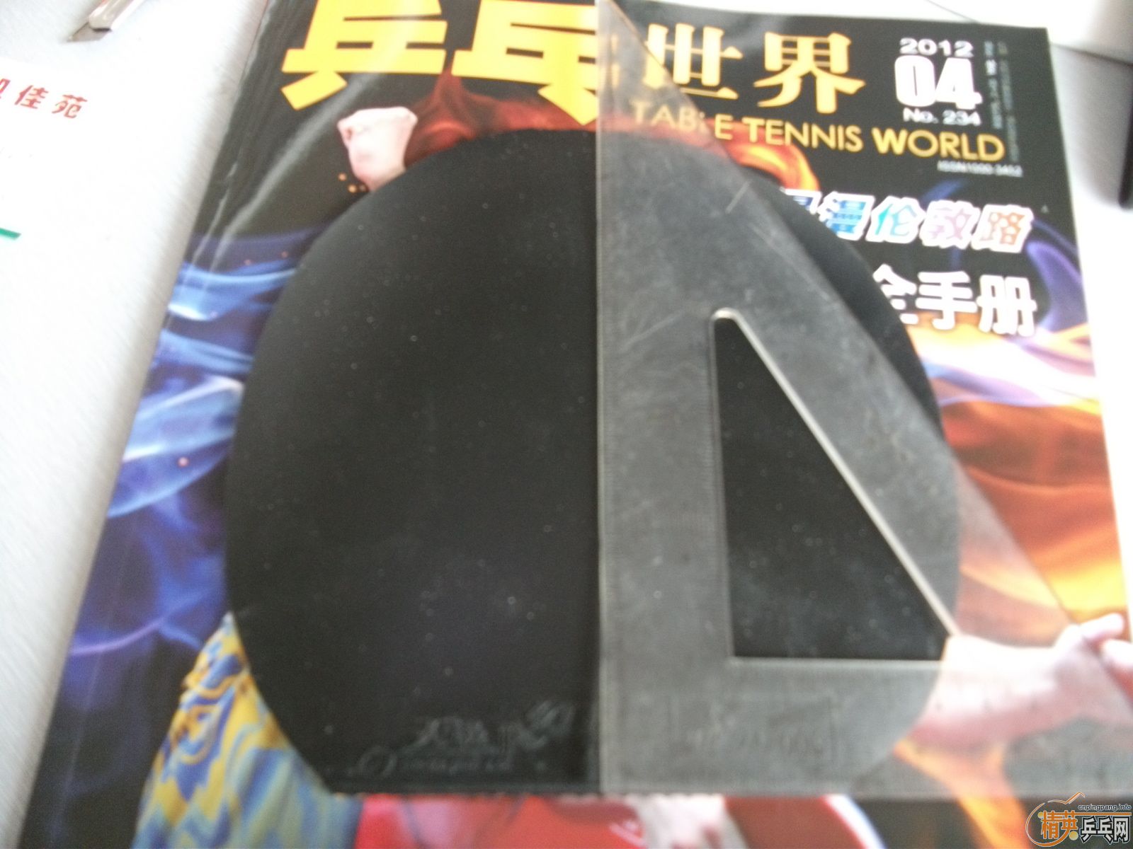 ����ʲô�ס�㣬�����鳬𤽺Ƥ