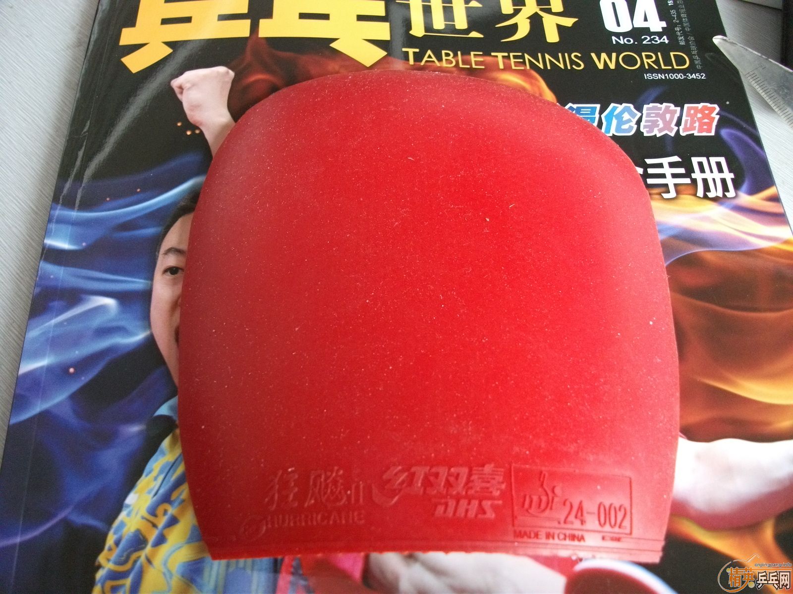 ����ʲô�ס�㣬�����鳬𤽺Ƥ