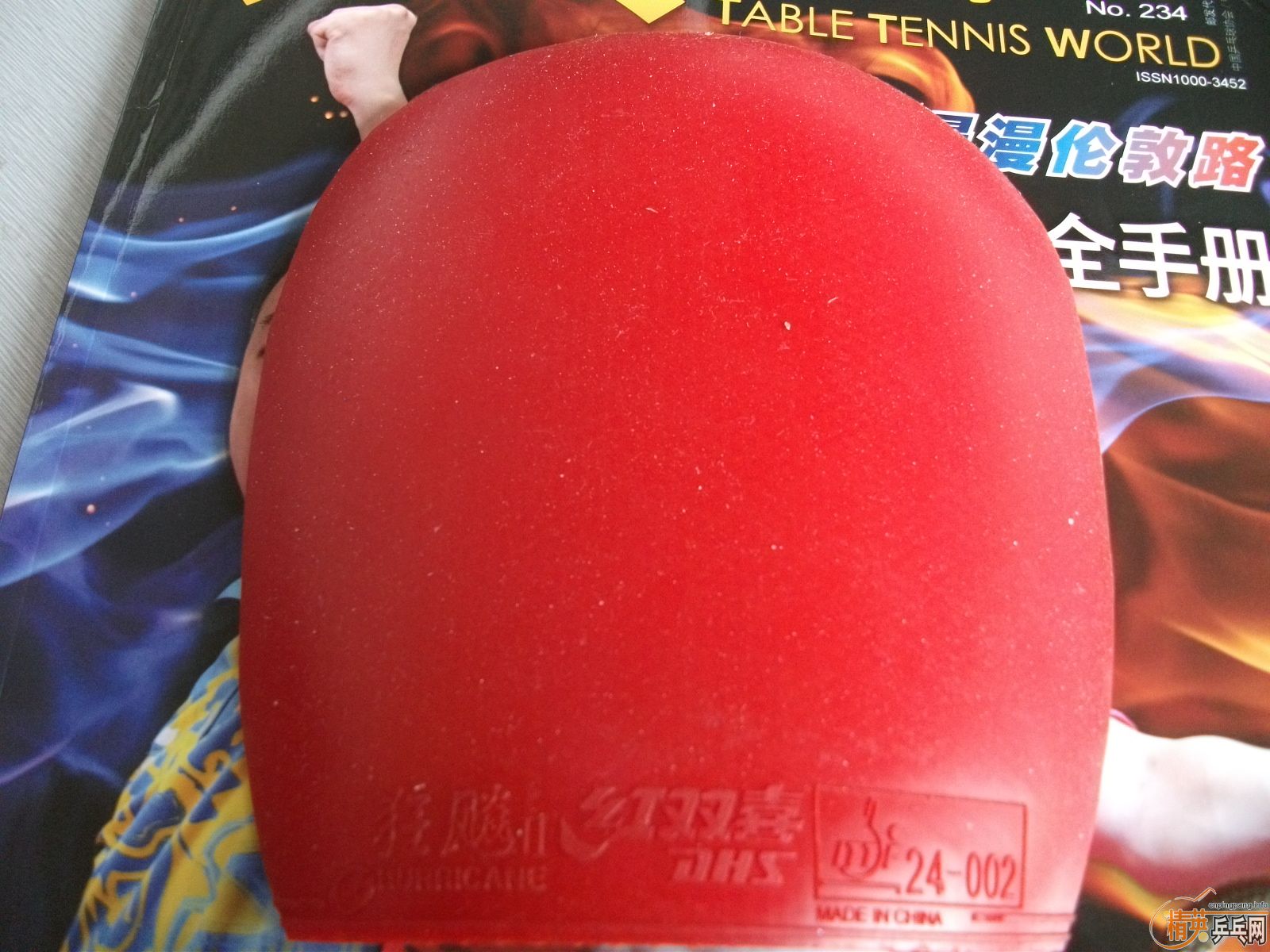 ����ʲô�ס�㣬�����鳬𤽺Ƥ