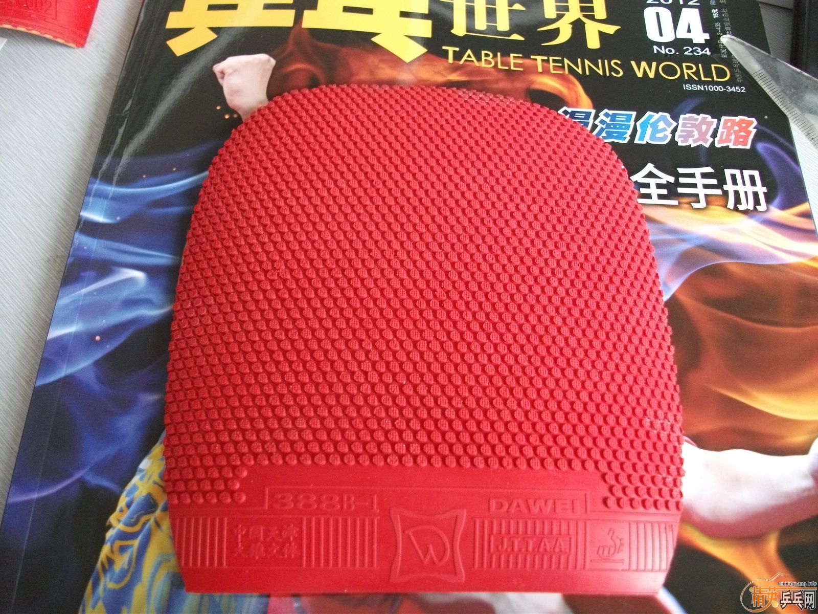 ����ʲô�ס�㣬�����鳬𤽺Ƥ