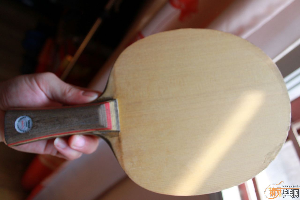 ת����������̼