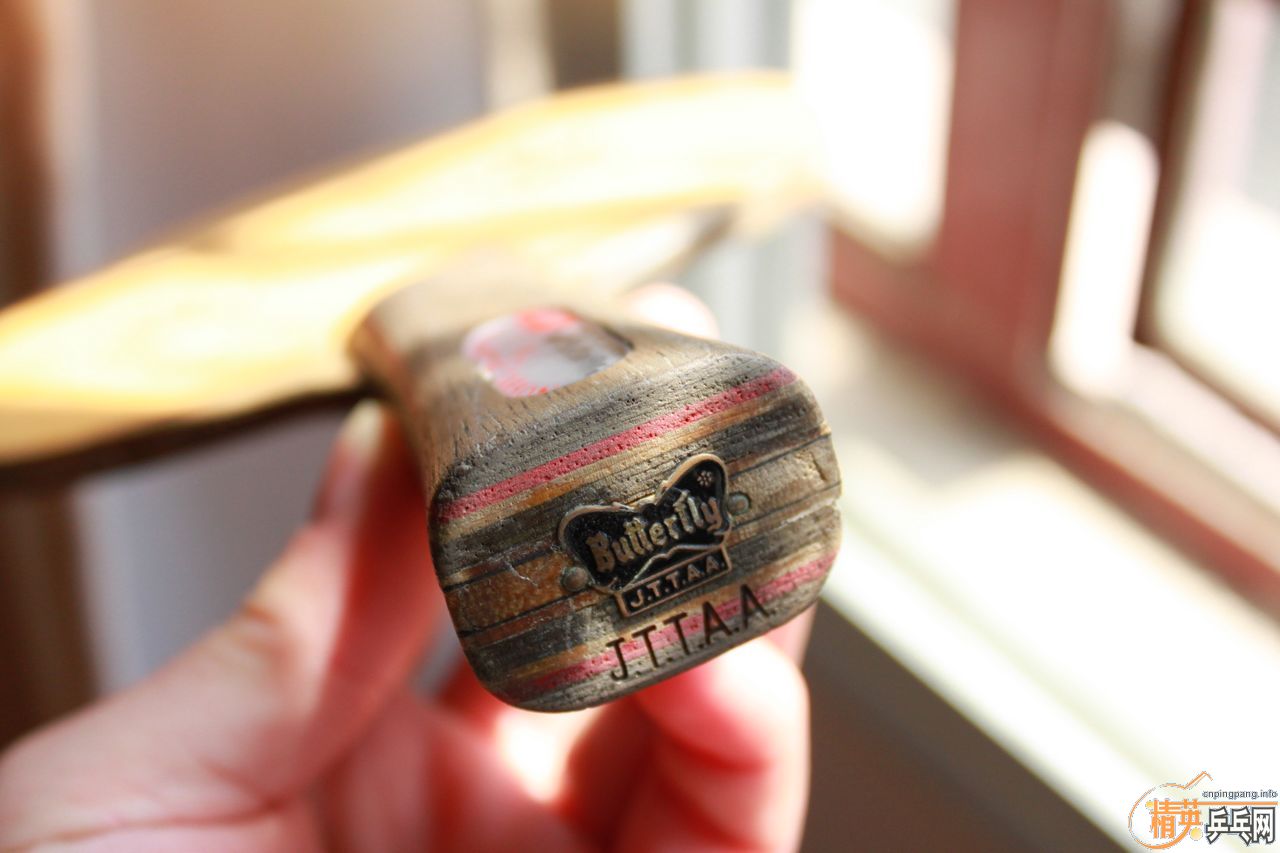 ת����������̼