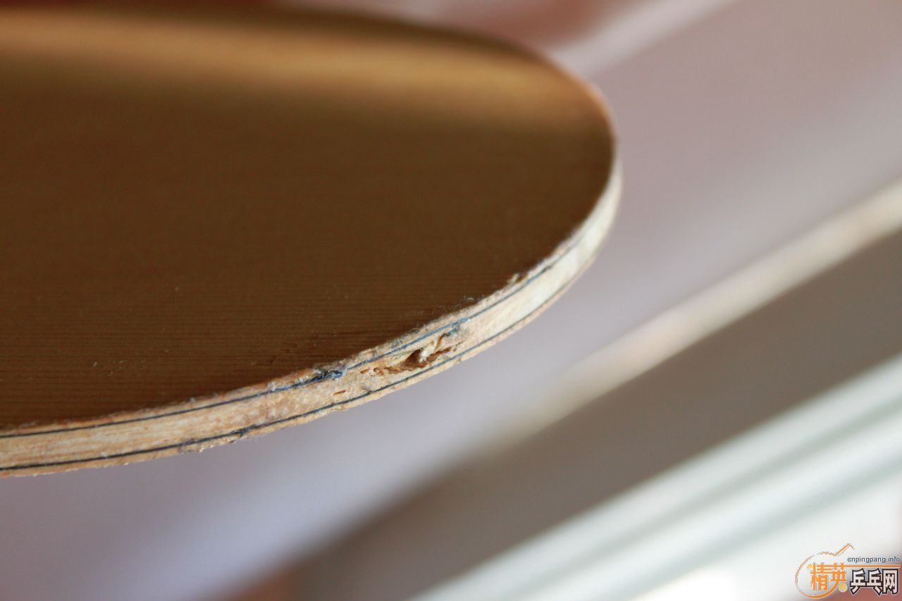 ת����������̼