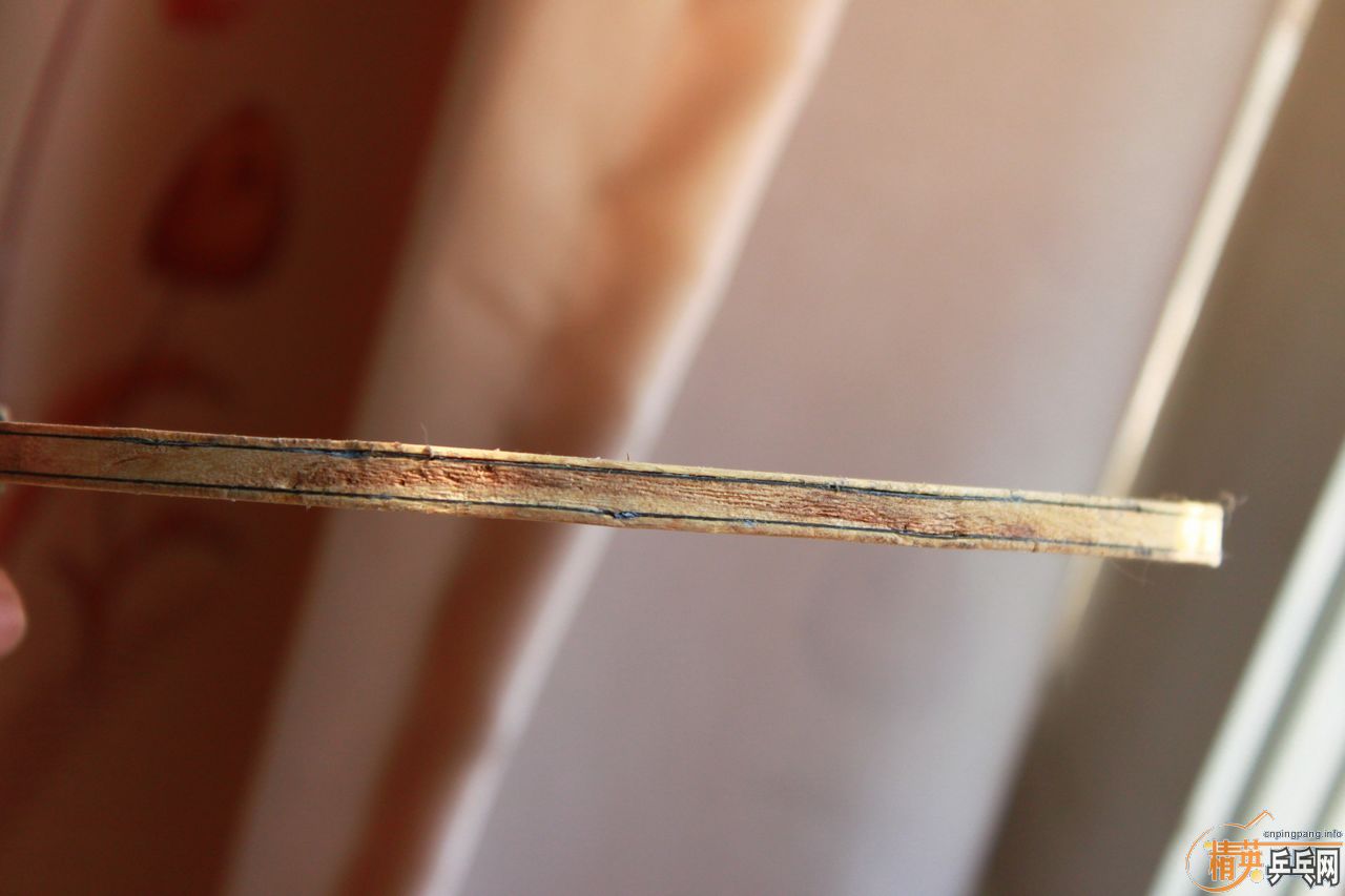 ת����������̼