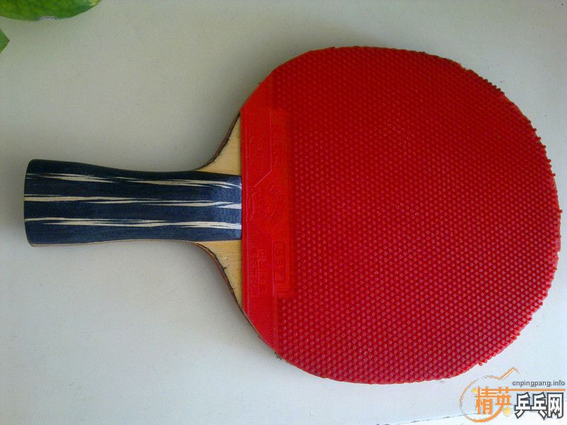 �ϰ���̼�� ���׽�350Ԫ