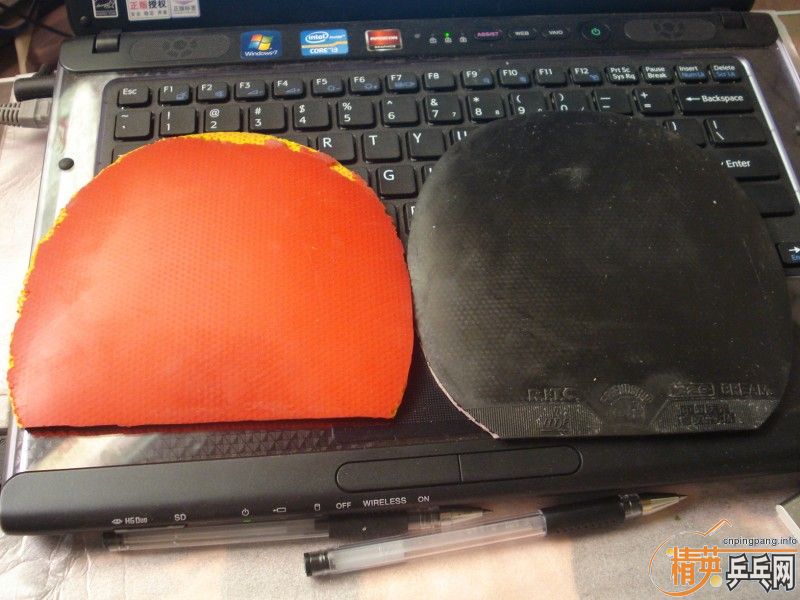 ���齺Ƥ ����ʷ����ͽ�Ƥ