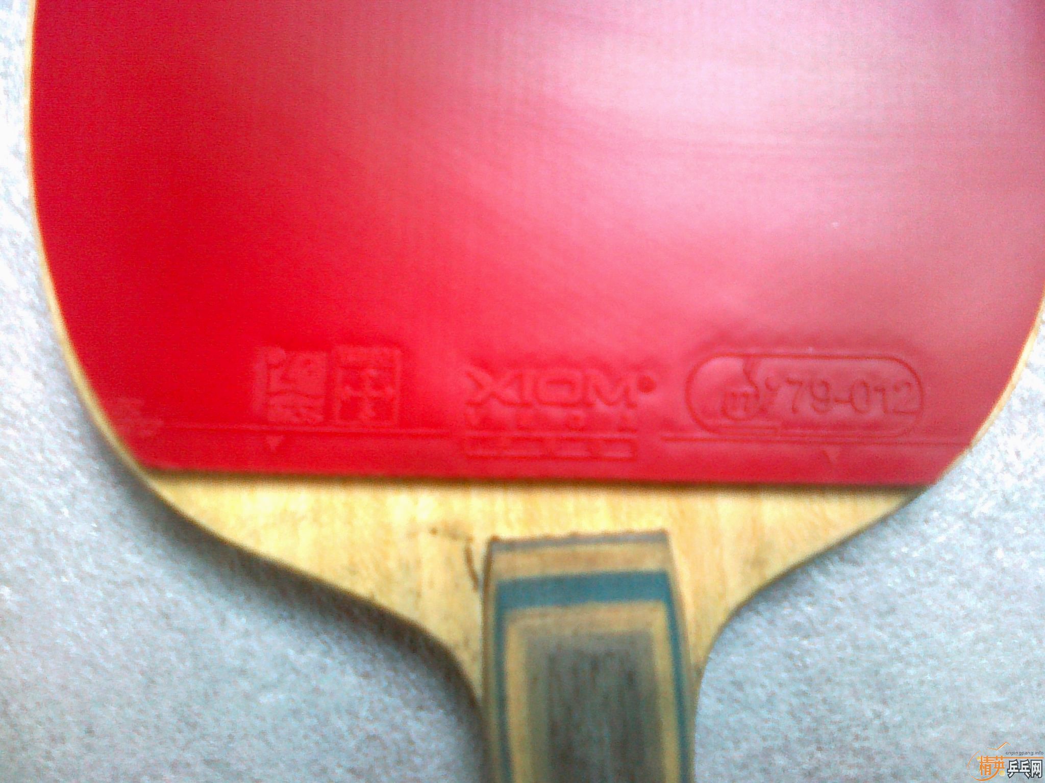 �����Ž�Ƥ ���� JO   VEGA �տ��