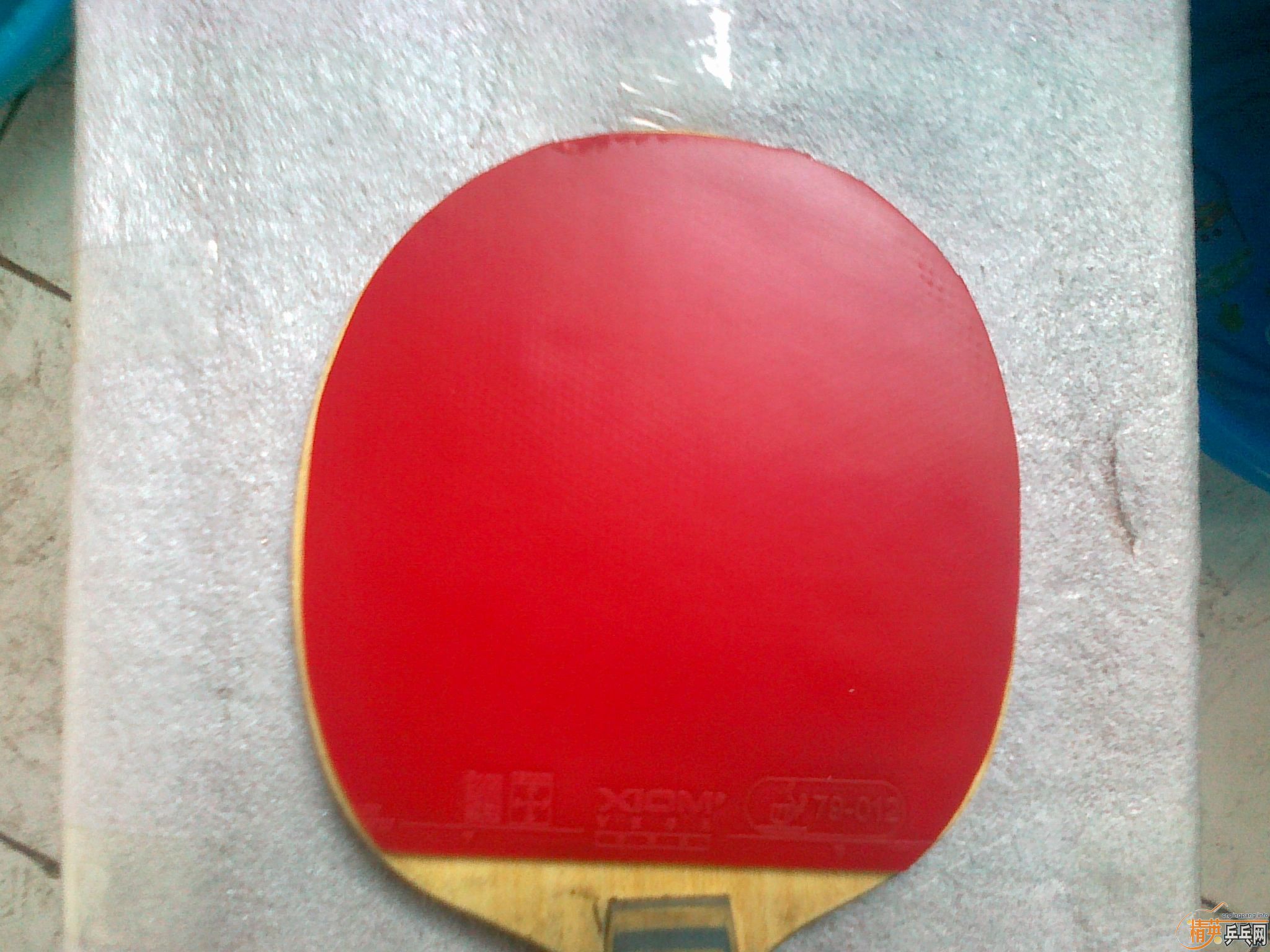 �����Ž�Ƥ ���� JO   VEGA �տ��