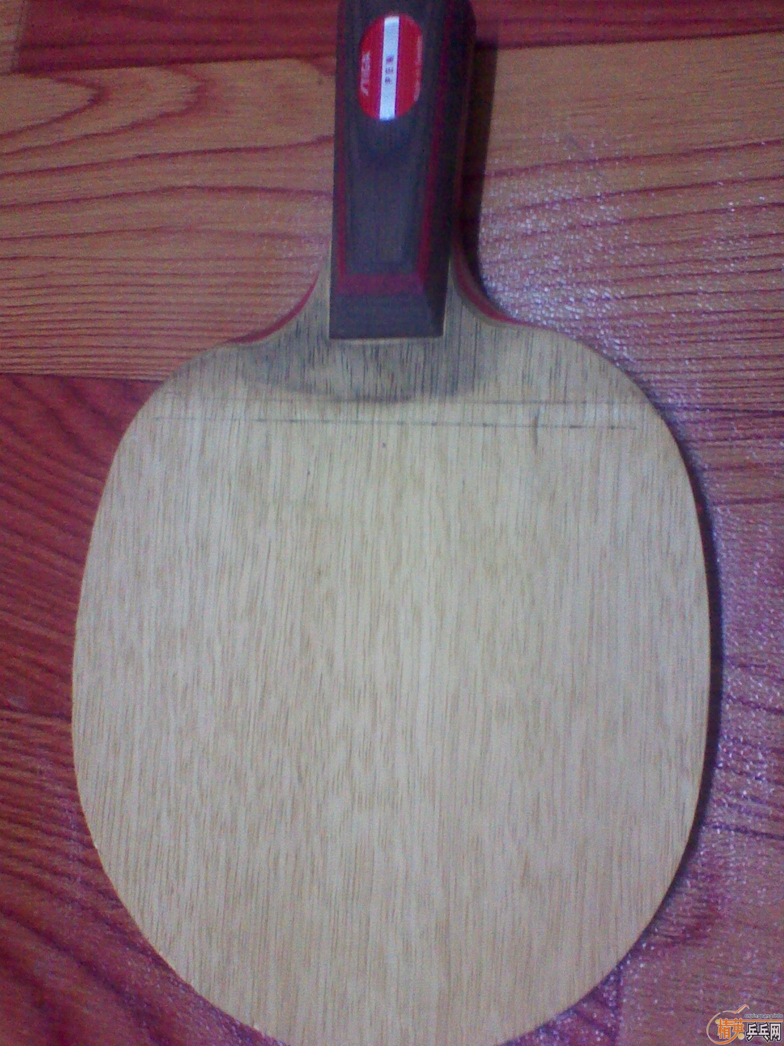 ===���л�CL==֧��������===