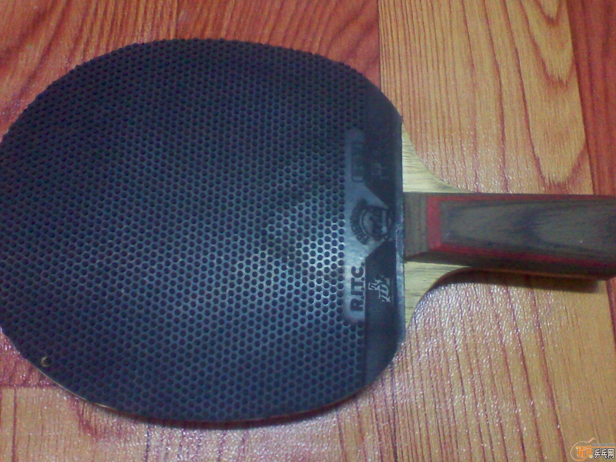 ===���л�CL==֧��������===