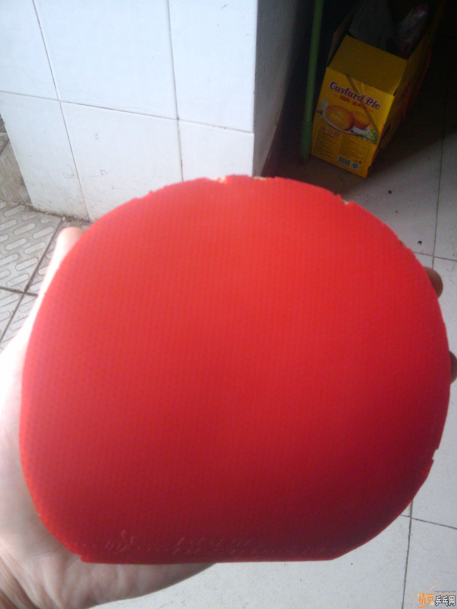 �������Ʒ ����F1 ��ɫ ����ƹ�����