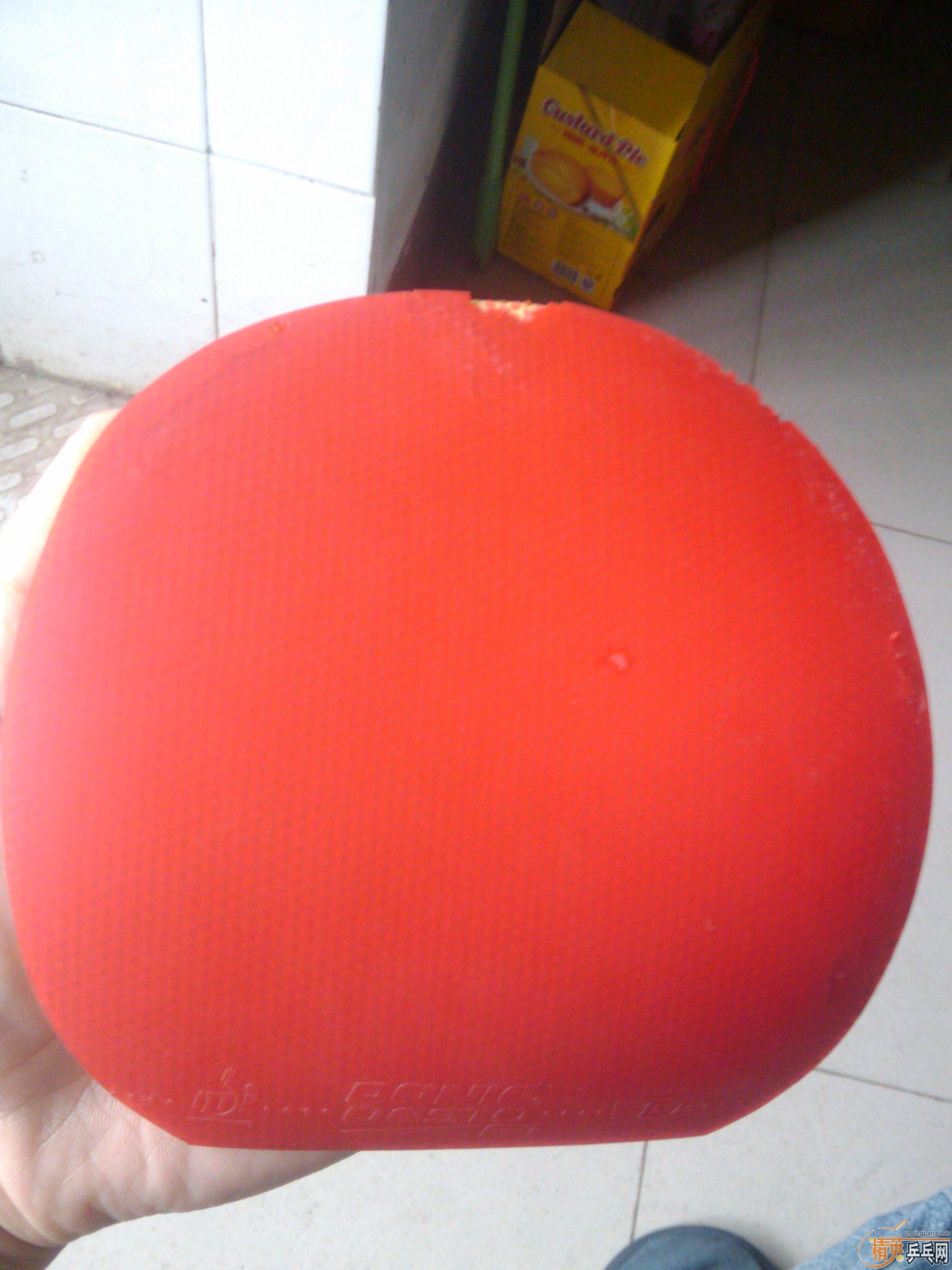 �������Ʒ ����F1 ��ɫ ����ƹ�����