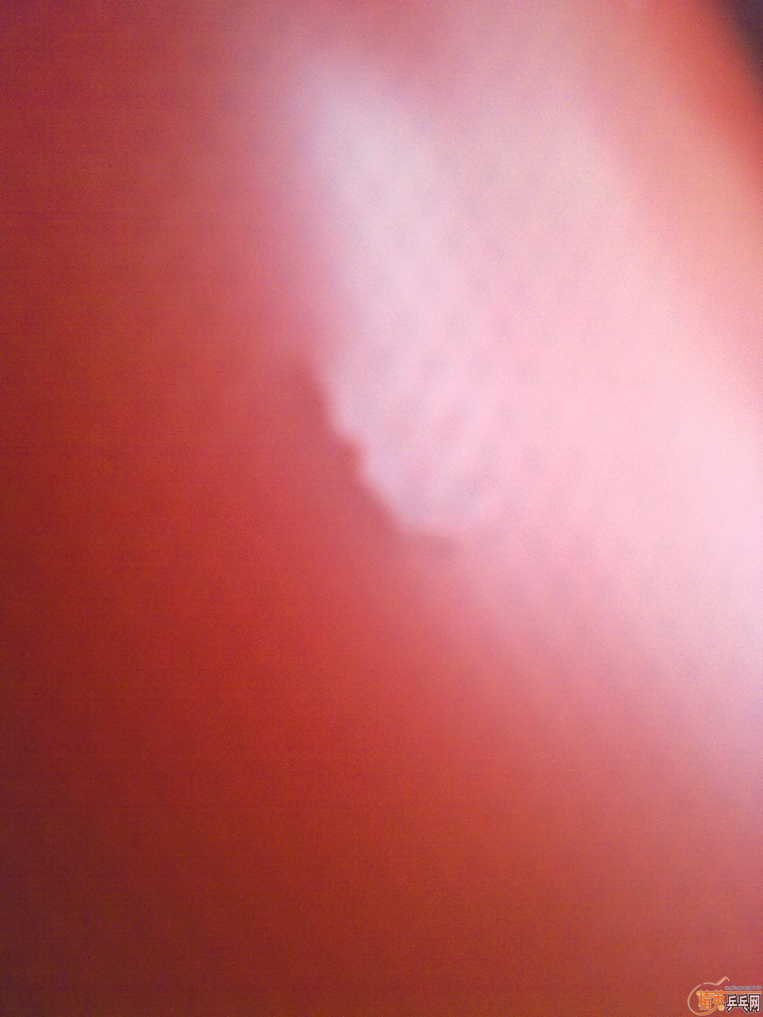 ==���ѳ�����ֱ�����ɫT64==